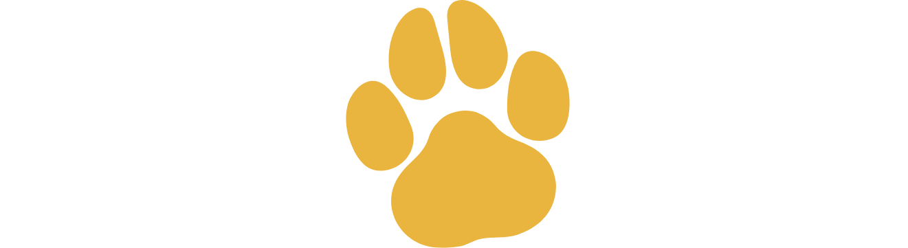 DACA: Dogs Association & Club Austria