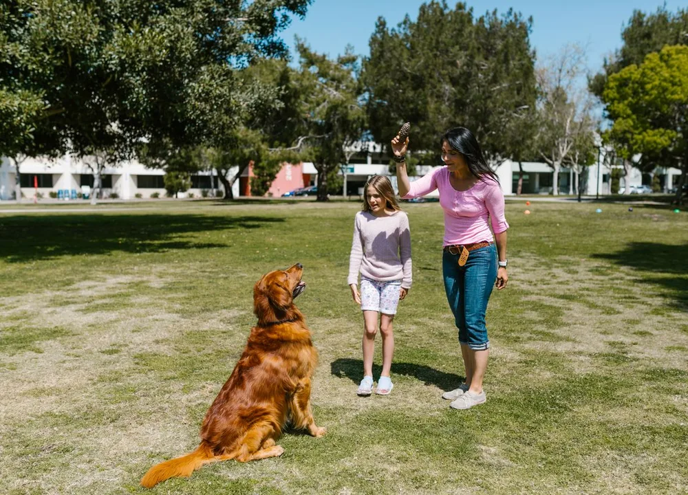 Vorteile für Hundebesitzer