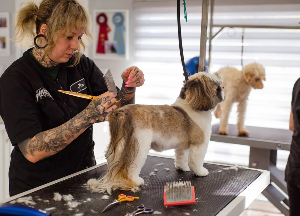 Vorteile für Hundefriseure